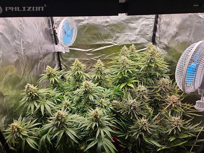 Growreport Bild 57