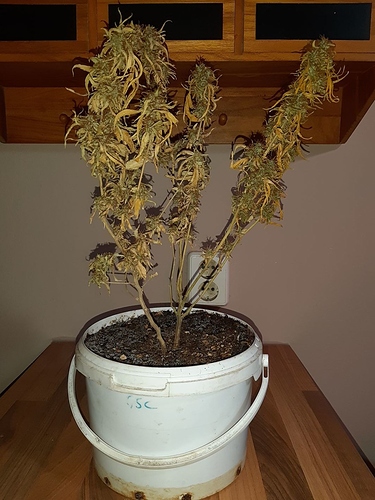Growreport Bild 4