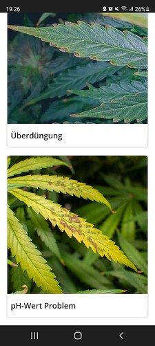 Screenshot_20220129-192641_Chrome