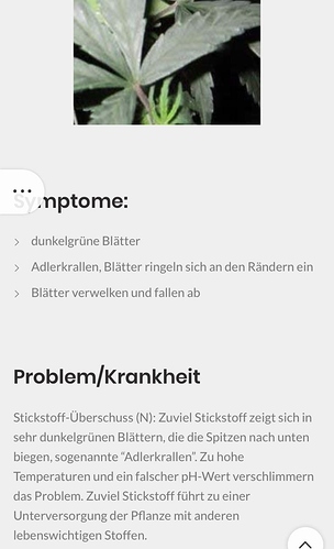 Growreport Bild 10