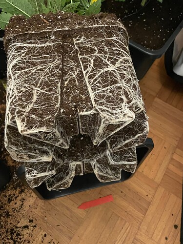 Growreport Bild 12