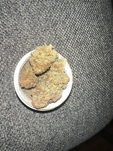 Growreport Bild 3