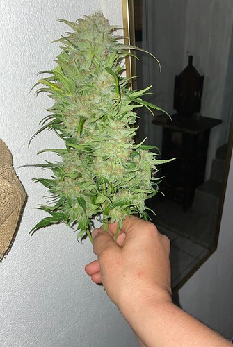 Growreport Bild 15