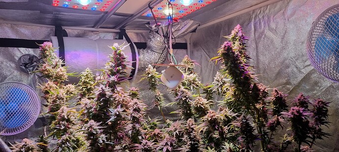 Growreport Bild 10