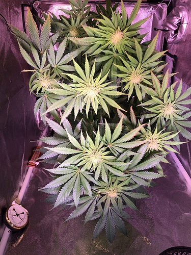 Growreport Bild 8
