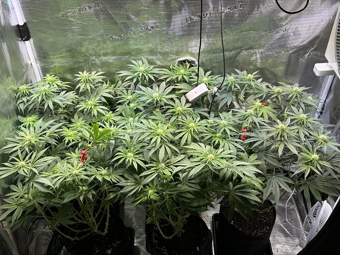 Growreport Bild 11
