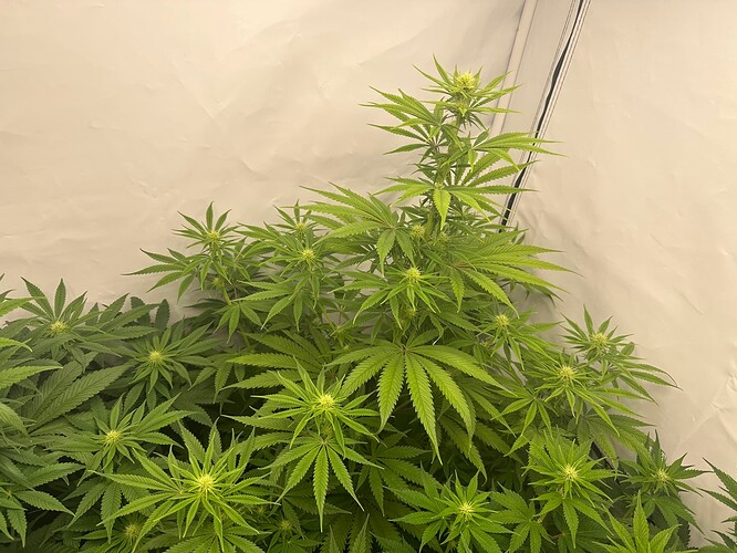 Growreport Bild 14