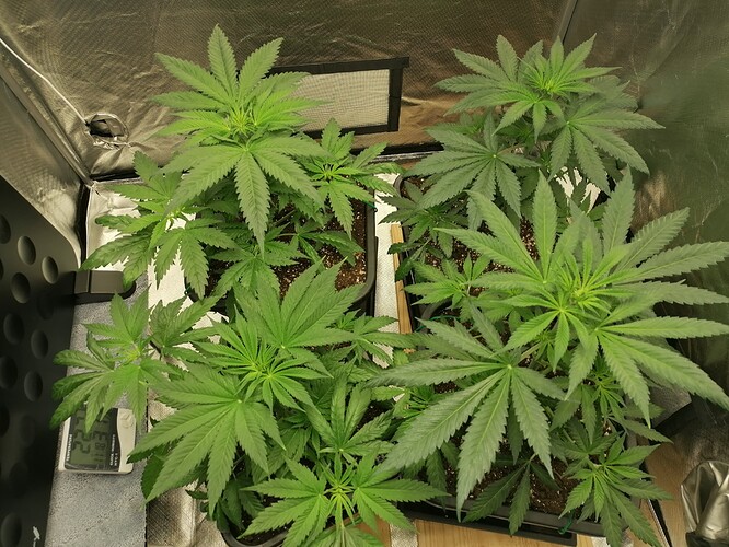 Growreport Bild 14