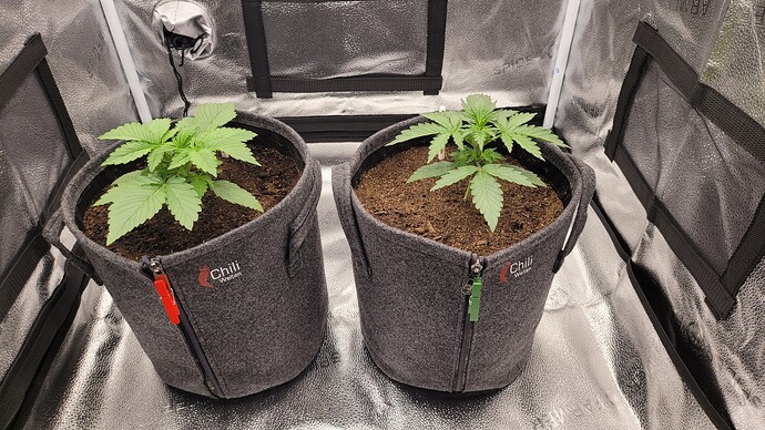 Growreport Bild 10