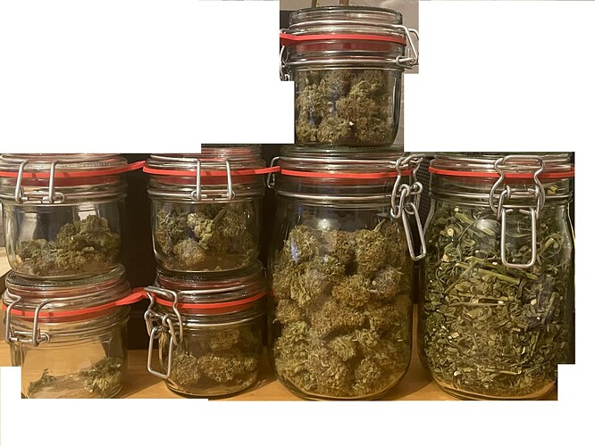 Growreport Bild 9