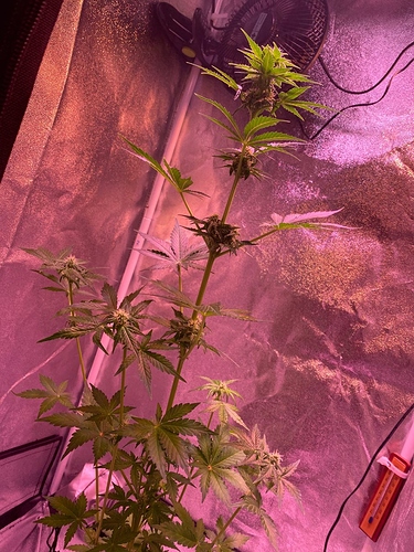 Growreport Bild 22