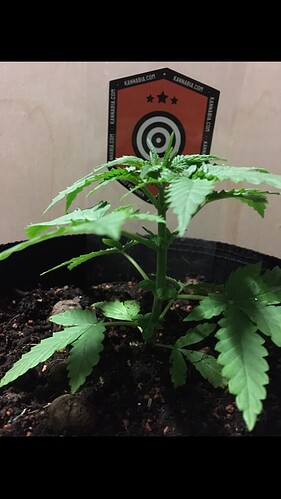 Growreport Bild 15