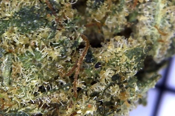 Foto am 18.11.20 um 14.57