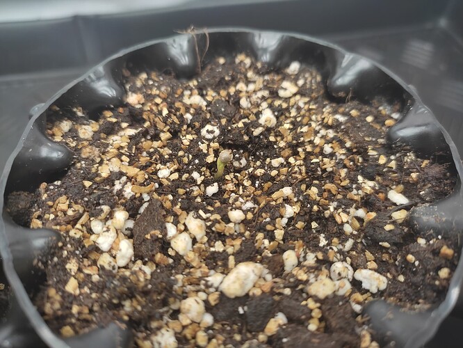 Growreport Bild 8