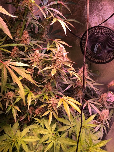 Growreport Bild 12