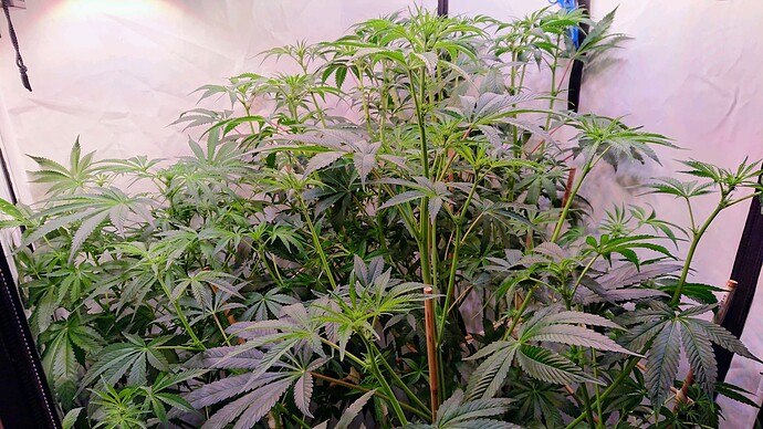 Growreport Bild 20