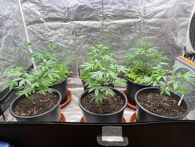 Growreport Bild 2
