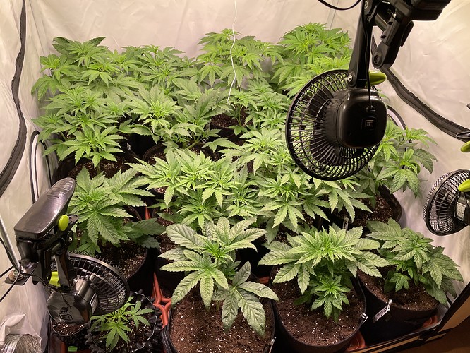Growreport Bild 5