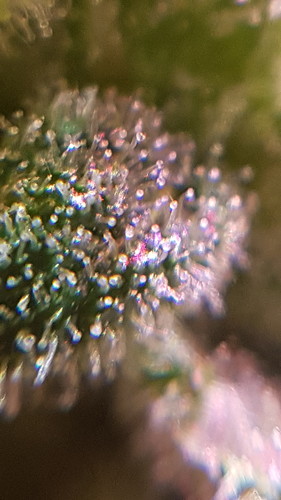 20210214_181614