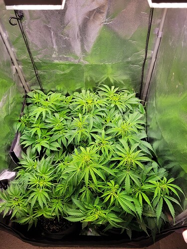 Growreport Bild 12