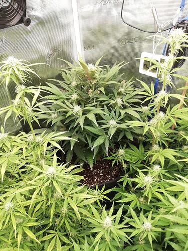 Growreport Bild 18
