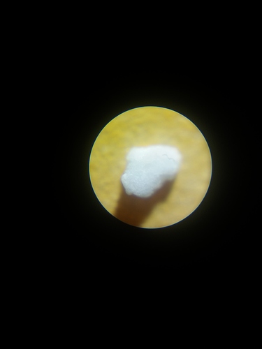 20191106_024427