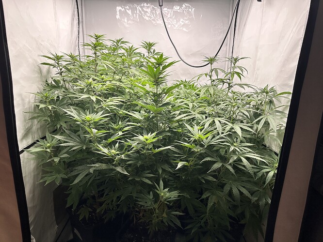 Growreport Bild 11