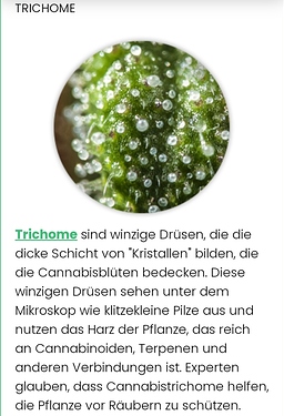 Screenshot_20201102_114948_com.android.chrome~01