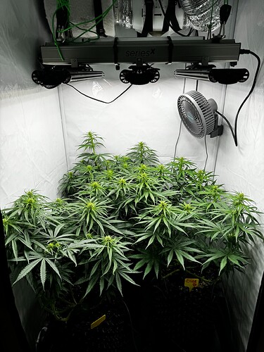 Growreport Bild 8