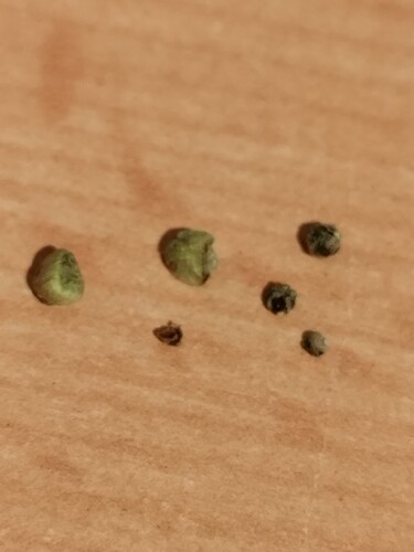 Growreport Bild 8