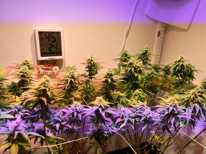 Growreport Bild 23