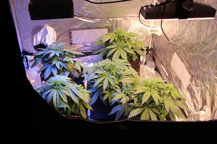 Growreport Bild 19