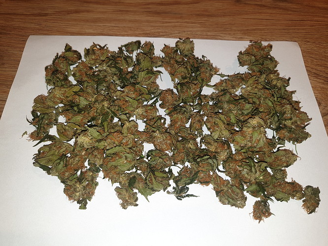 Growreport Bild 7