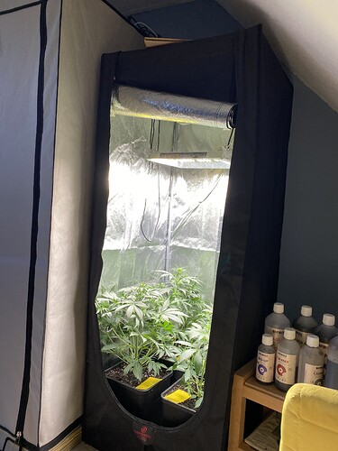Growreport Bild 3