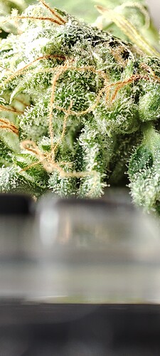 Growreport Bild 7