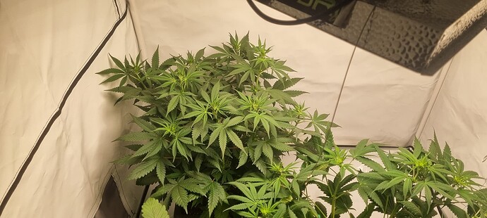 Growreport Bild 2