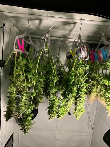 Growreport Bild 2