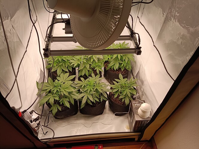 Growreport Bild 13