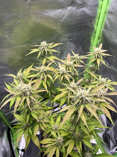 Growreport Bild 22