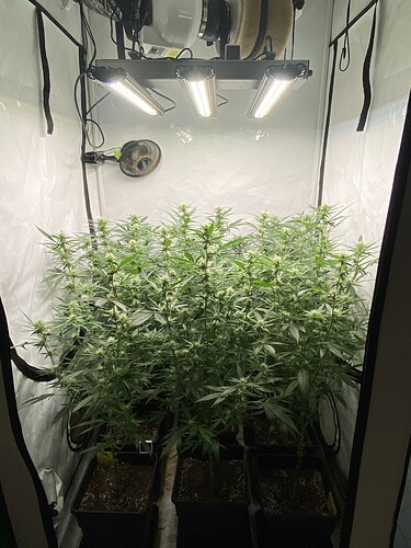 Growreport Bild 10