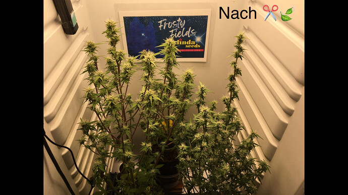 Growreport Bild 15