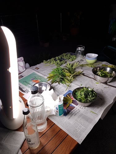 Growreport Bild 11