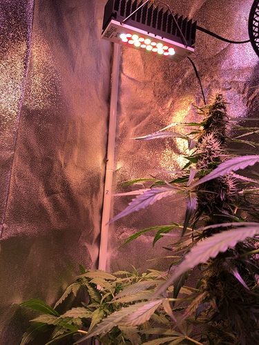 Growreport Bild 15