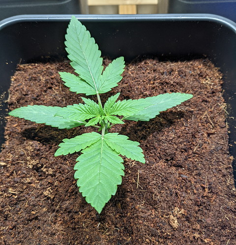 PXL_20210713_133543626 - Kopie