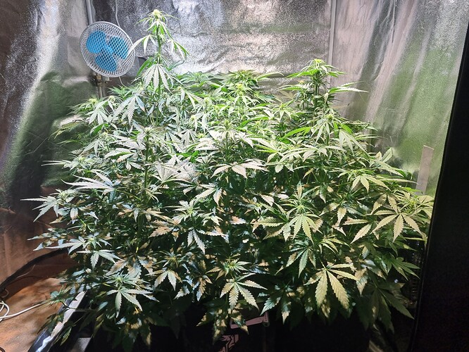 Growreport Bild 16