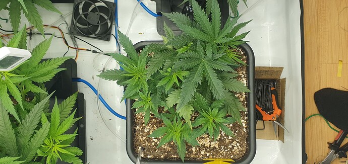 Growreport Bild 17
