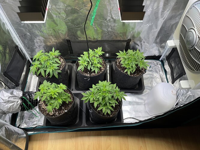 Growreport Bild 12