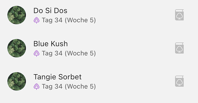 Growreport Bild 1