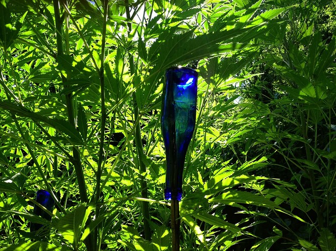 Growreport Bild 15