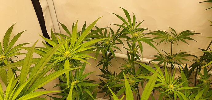 Growreport Bild 5
